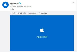 为什么苹果中国在微博开设新账号