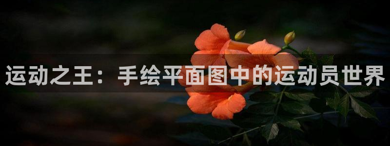 fb体育集团：运动之王：手绘平面图中的运动员世界