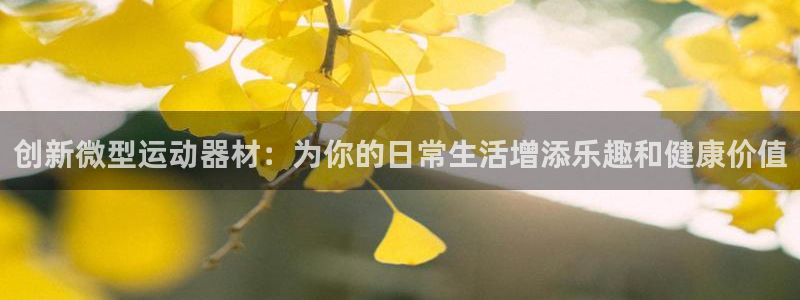fb体育娱乐首页官网下载：创新微型运动器材：为你的日