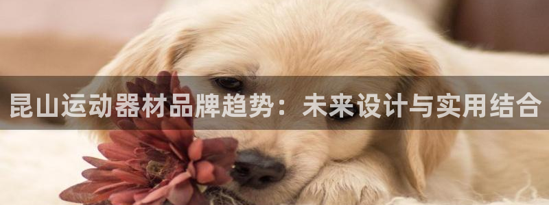 fb体育娱乐首页官网下载：昆山运动器材品牌趋势：未来