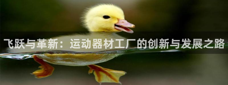 fb体育娱乐40996：飞跃与革新：运动器材工厂的创