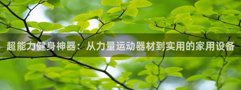 fb体育娱乐首页官网下载：超能力健身神器：从力量运动