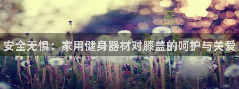 德国fb体育集团：安全无惧：家用健身器材对膝盖的呵护