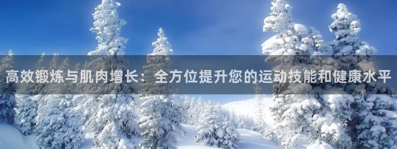 fb体育娱乐下载：高效锻炼与肌肉增长：全方位提升您的运动技能