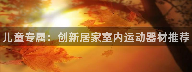 fb体育软件：儿童专属：创新居家室内运动器材推荐