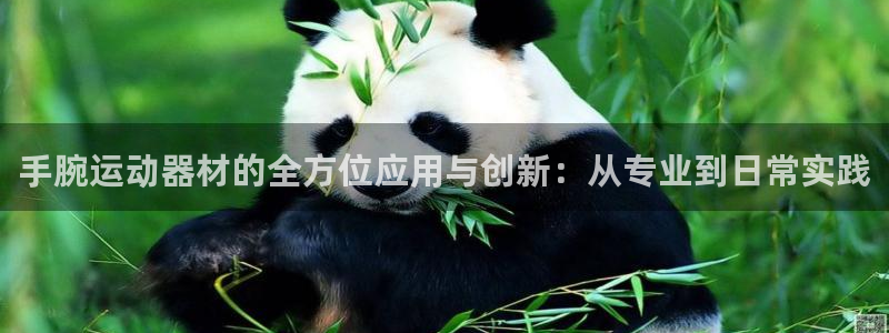 fb体育招商电话是多少：手腕运动器材的全方位应用与创新：从专