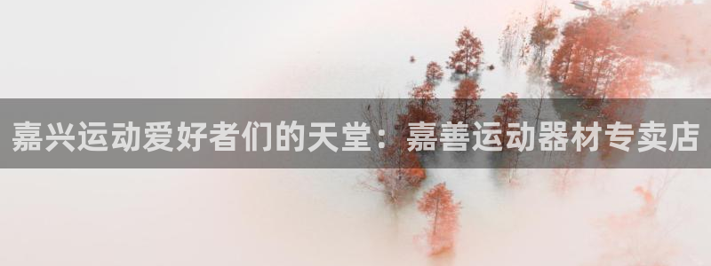 fb体育开户：嘉兴运动爱好者们的天堂：嘉善运动器材专卖店
