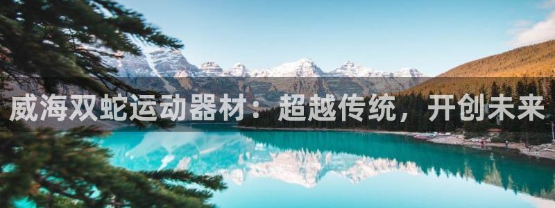 fb体育开户：威海双蛇运动器材：超越传统，开创未来