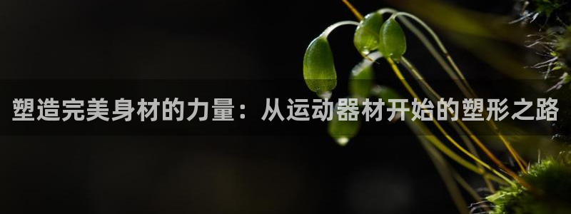 fb集团官网：塑造完美身材的力量：从运动器材开始的塑形之路