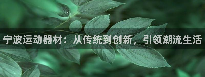 fb体育招商电话号码查询：宁波运动器材：从传统到创新