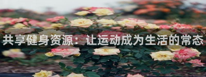 fb体育集团logo：共享健身资源：让运动成为生活的常态
