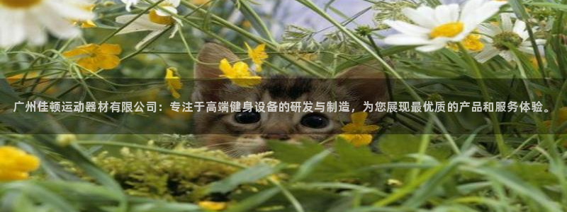 fb体育娱乐40996：广州佳顿运动器材有限公司：专注于高端