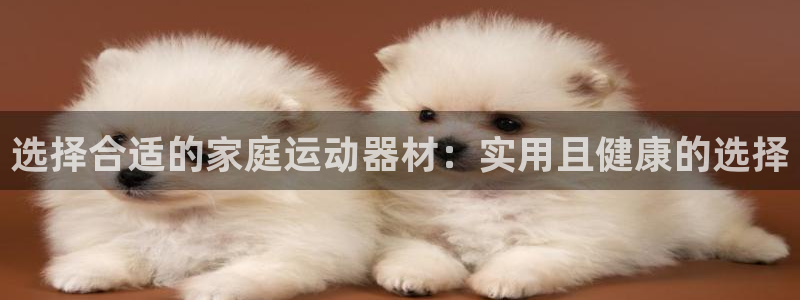 海南fb体育：选择合适的家庭运动器材：实用且健康的选