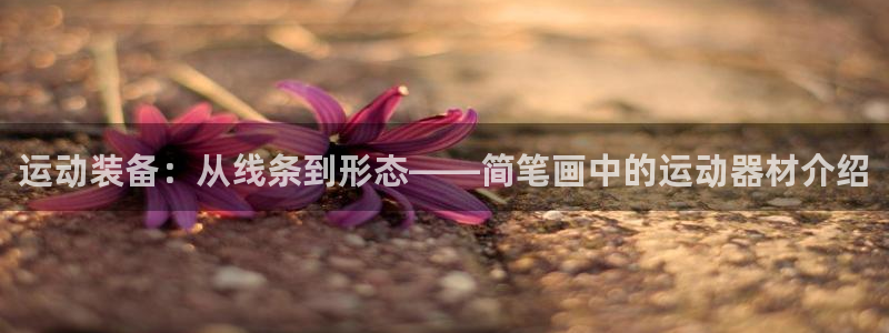 fb体育娱乐首页官网下载